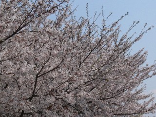 �t���[��
